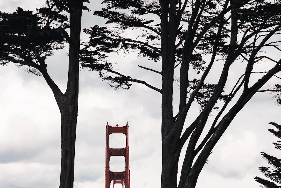 San Francisco, CA: An Introduction to the City and Its Mesmerizing Weather