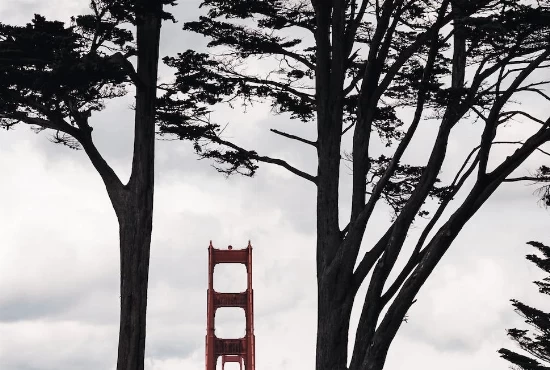 San Francisco, CA: An Introduction to the City and Its Mesmerizing Weather